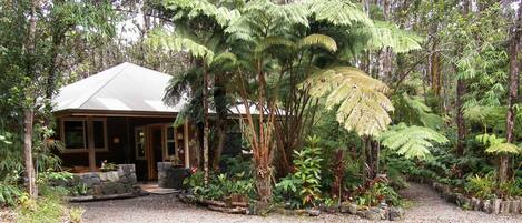 A house surrounded by dense forest with a stone pathway leading to the entrance.