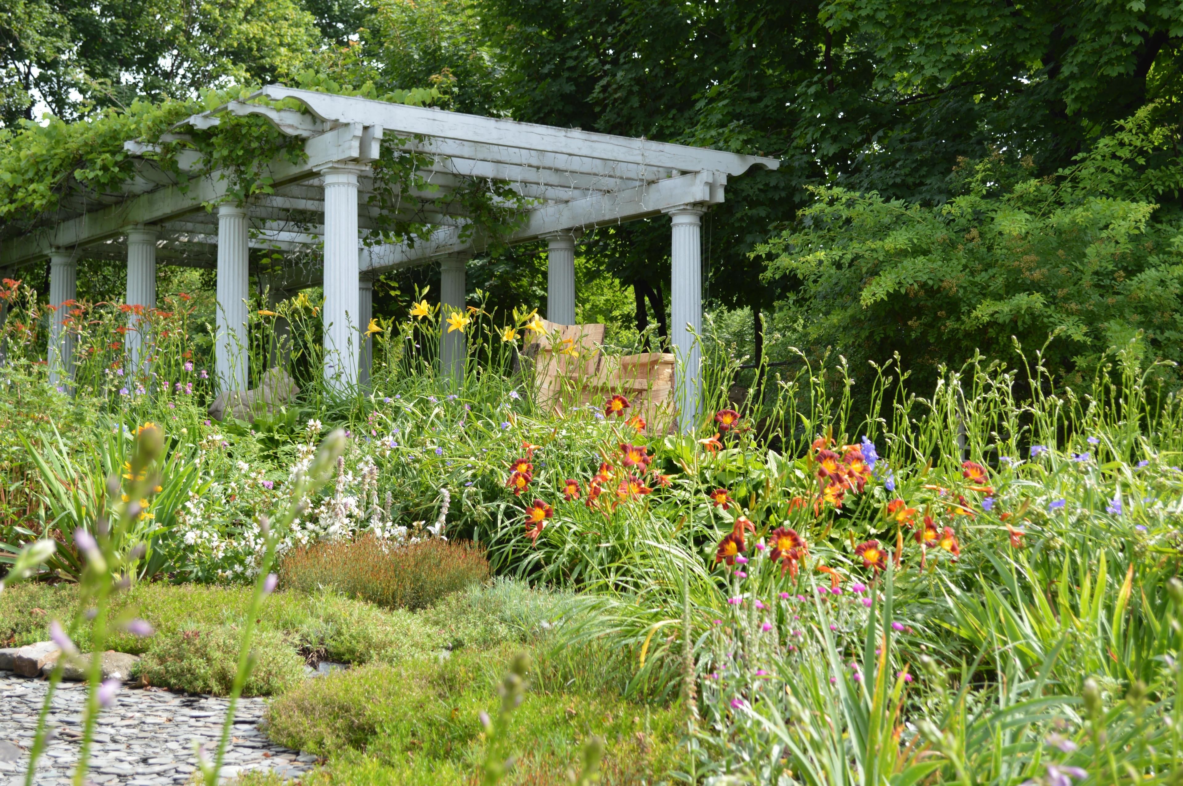 Un jardín con un pérgola, diversas plantas en flor y un sendero de piedra.
