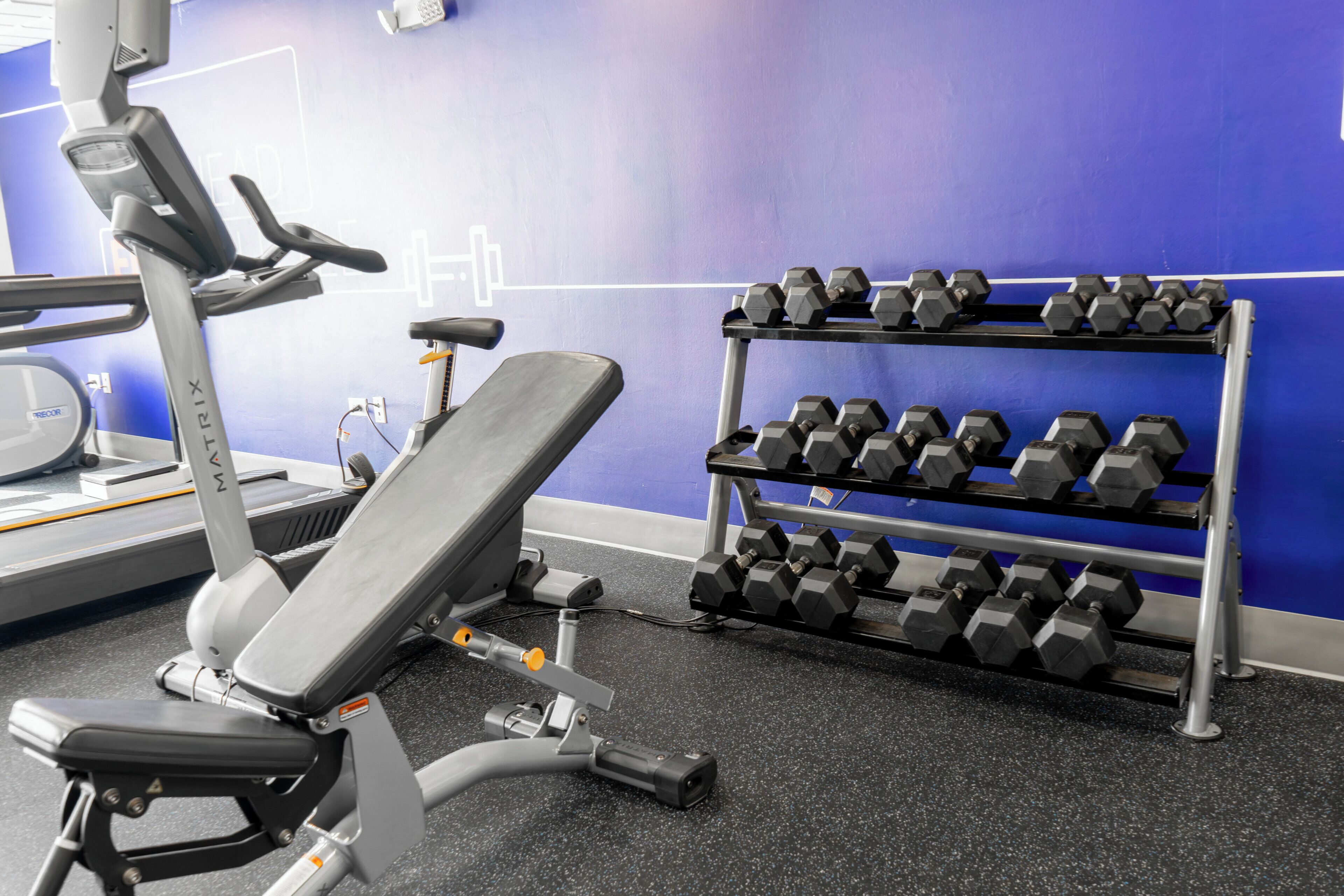 A gym with a bench, dumbbells, and a treadmill.