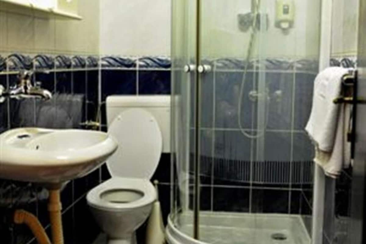 shower, free toiletries, hair dryer, slippers