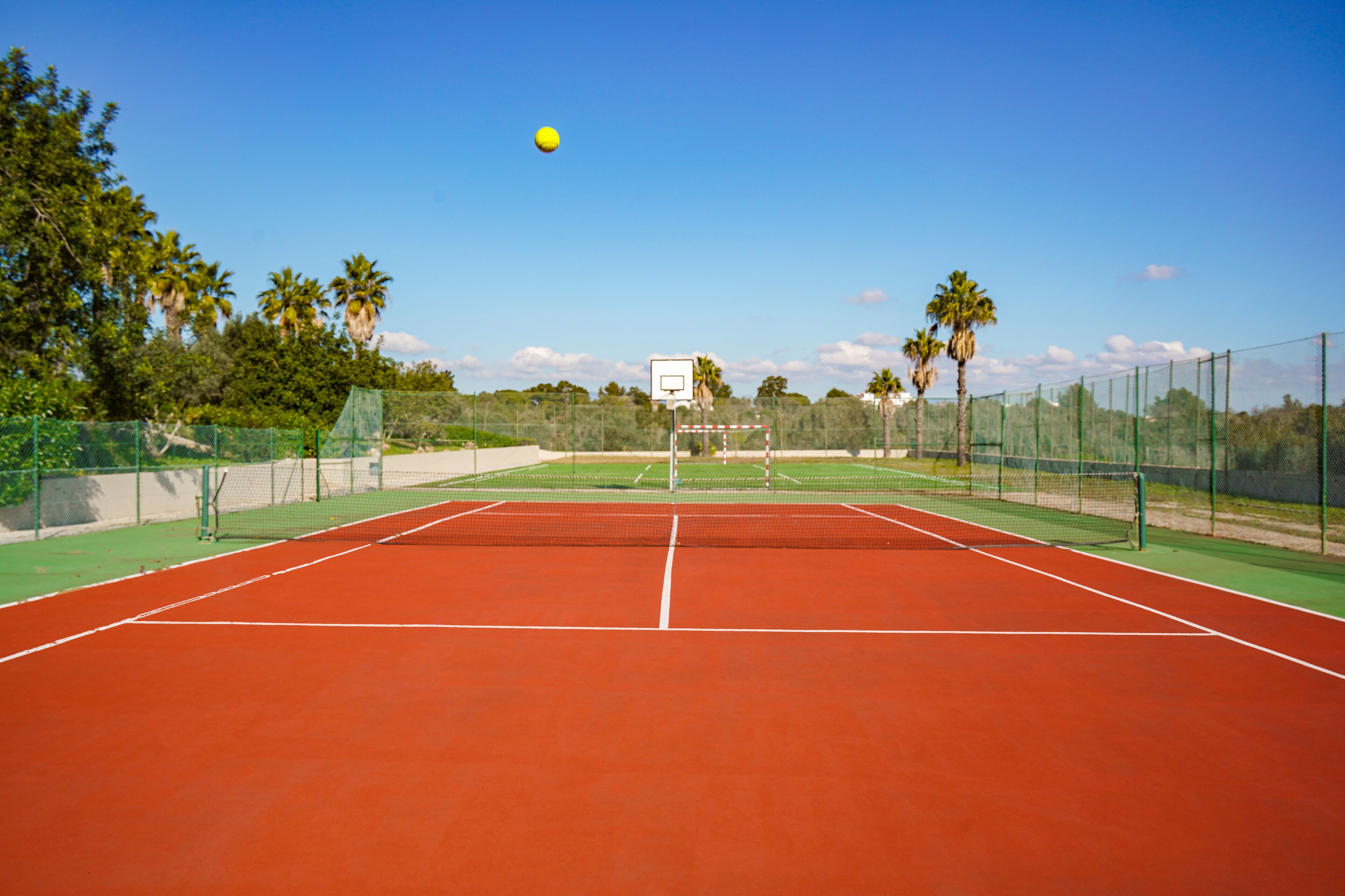 Un court de tennis avec un filet, entouré d’une clôture et de palmiers.