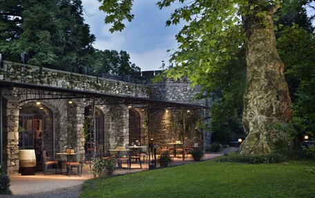 An outdoor patio with stone walls, tables, and chairs, surrounded by greenery and a large tree.