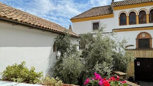 Un patio con edificios blancos, tejado de baldosas y plantas en macetas.