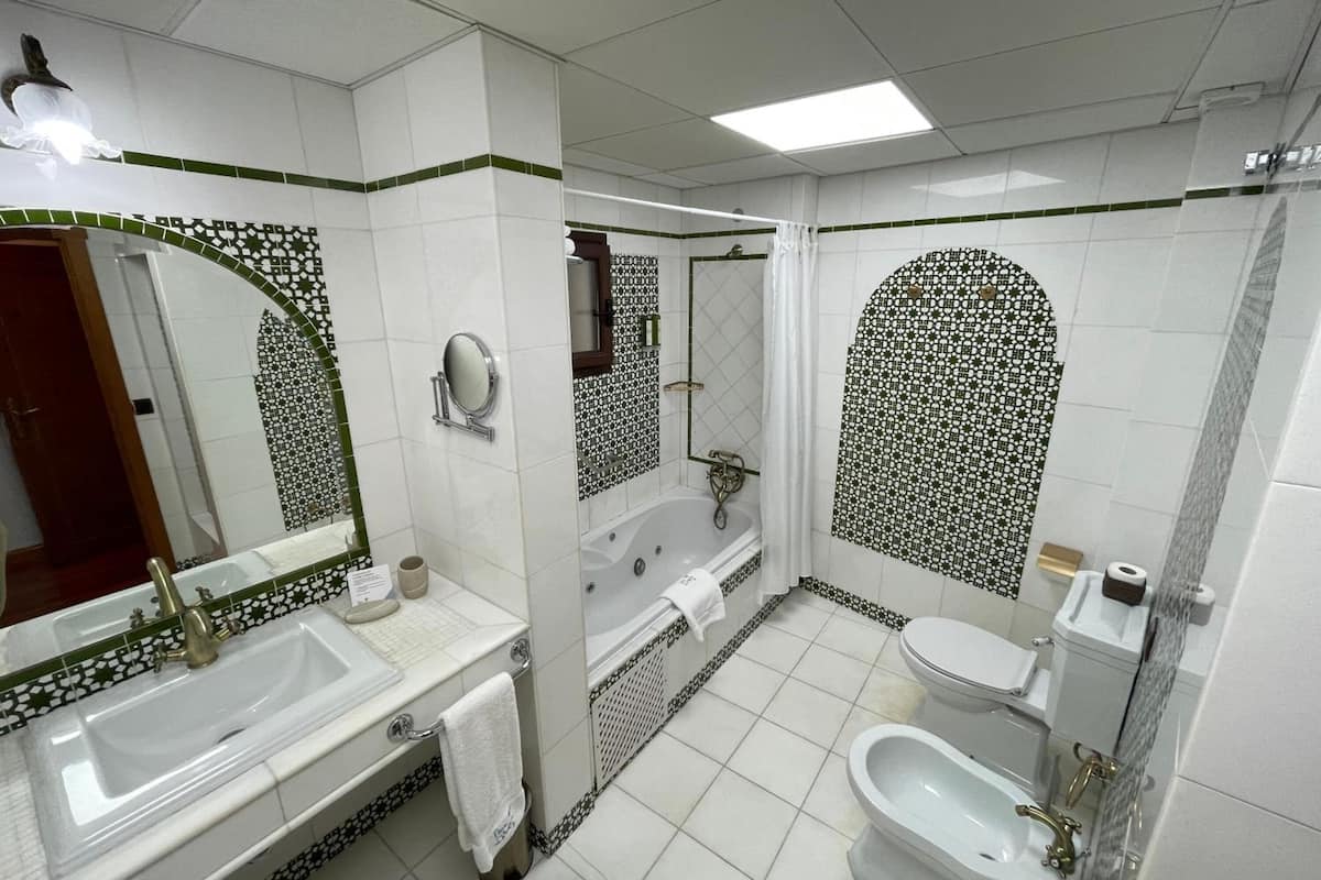 hydromassage showerhead, hair dryer, towels