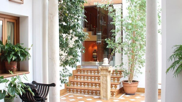 Un patio con suelo de baldosas, plantas en macetas y un banco.