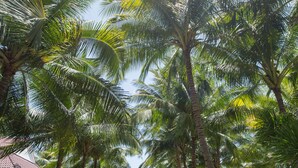 A pathway lined with palm trees leading to a building with a red roof. - Diamond Bay Resort and Spa (Nam Nha Trang)