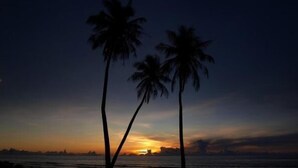 A sunset over a beach with palm trees silhouetted against the sky. - Pacific Bay Hotel (Tamuning)