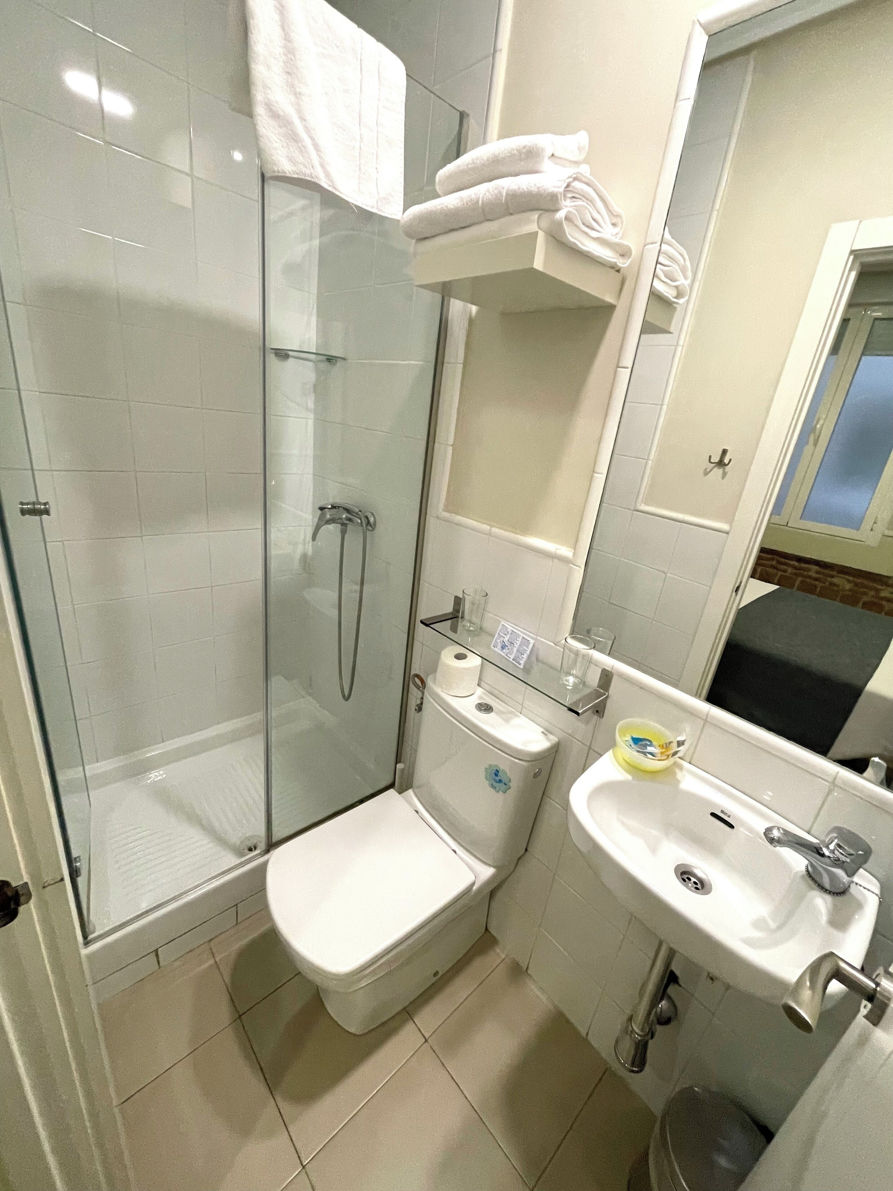 A bathroom with a glass-enclosed shower, a toilet, a sink, and a mirror.