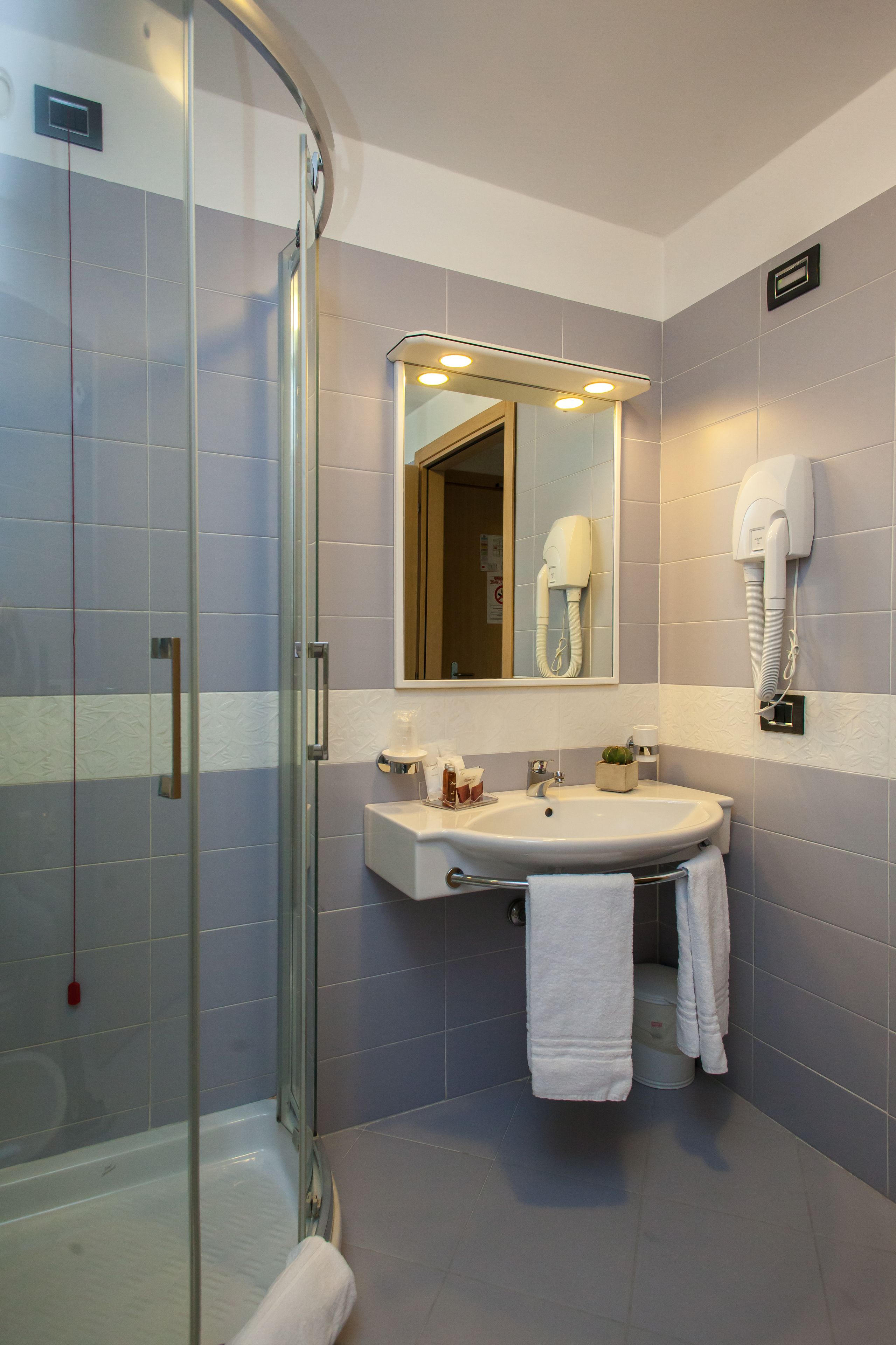 free toiletries, hair dryer, bidet, towels