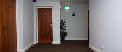 A hallway with carpeted floors, wooden doors, and a potted plant.