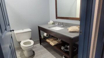 Combined shower/tub, free toiletries, hair dryer, towels