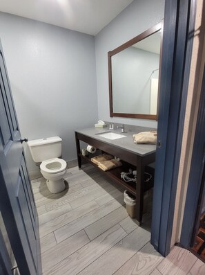 Un baño con inodoro, lavamanos y espejo.