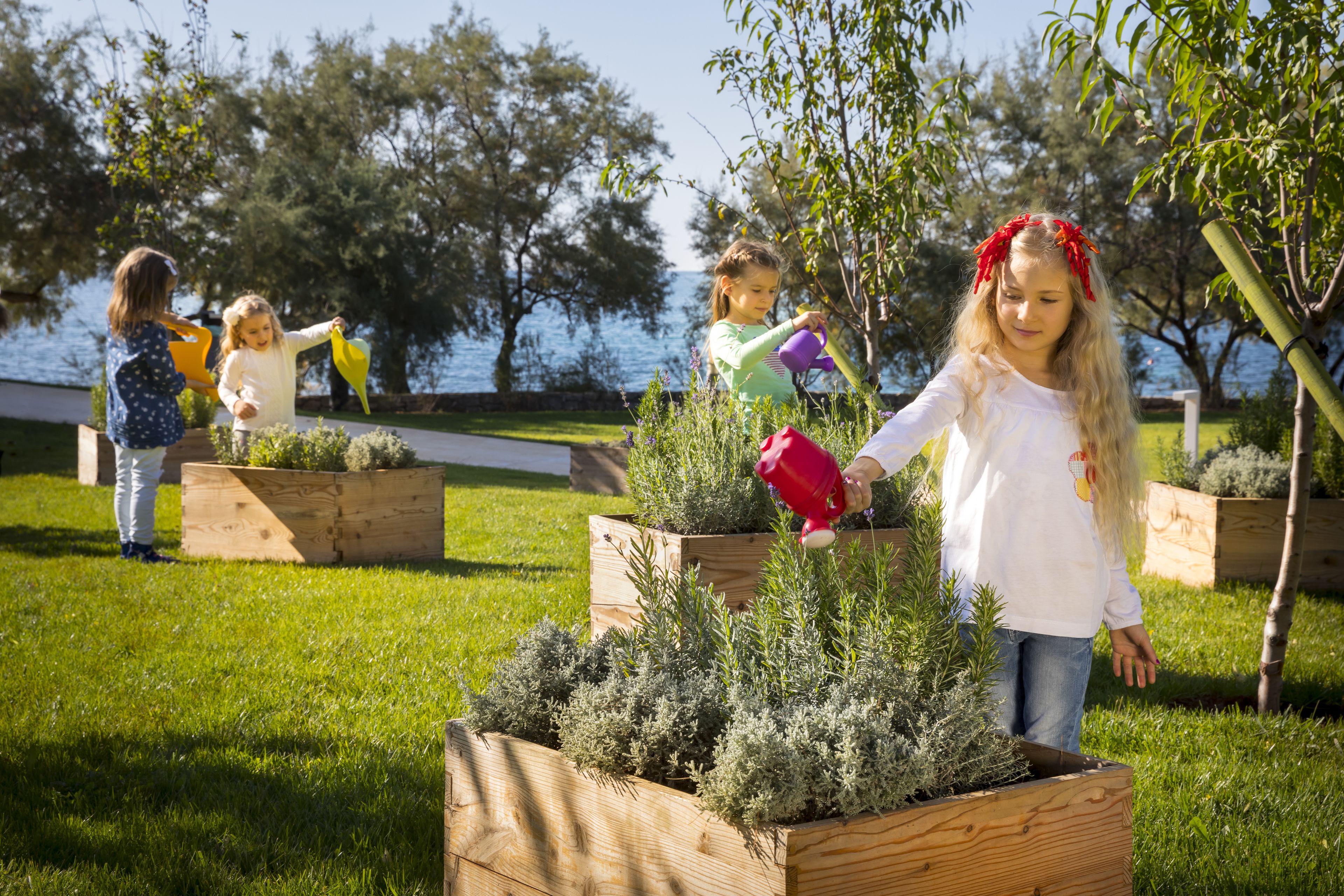 children’s activities