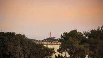 A coastal town with a prominent tower, surrounded by dense trees and a body of water.