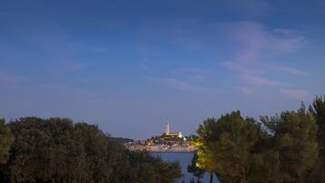 A coastal cityscape with a prominent tower and a cathedral, surrounded by dense green trees.