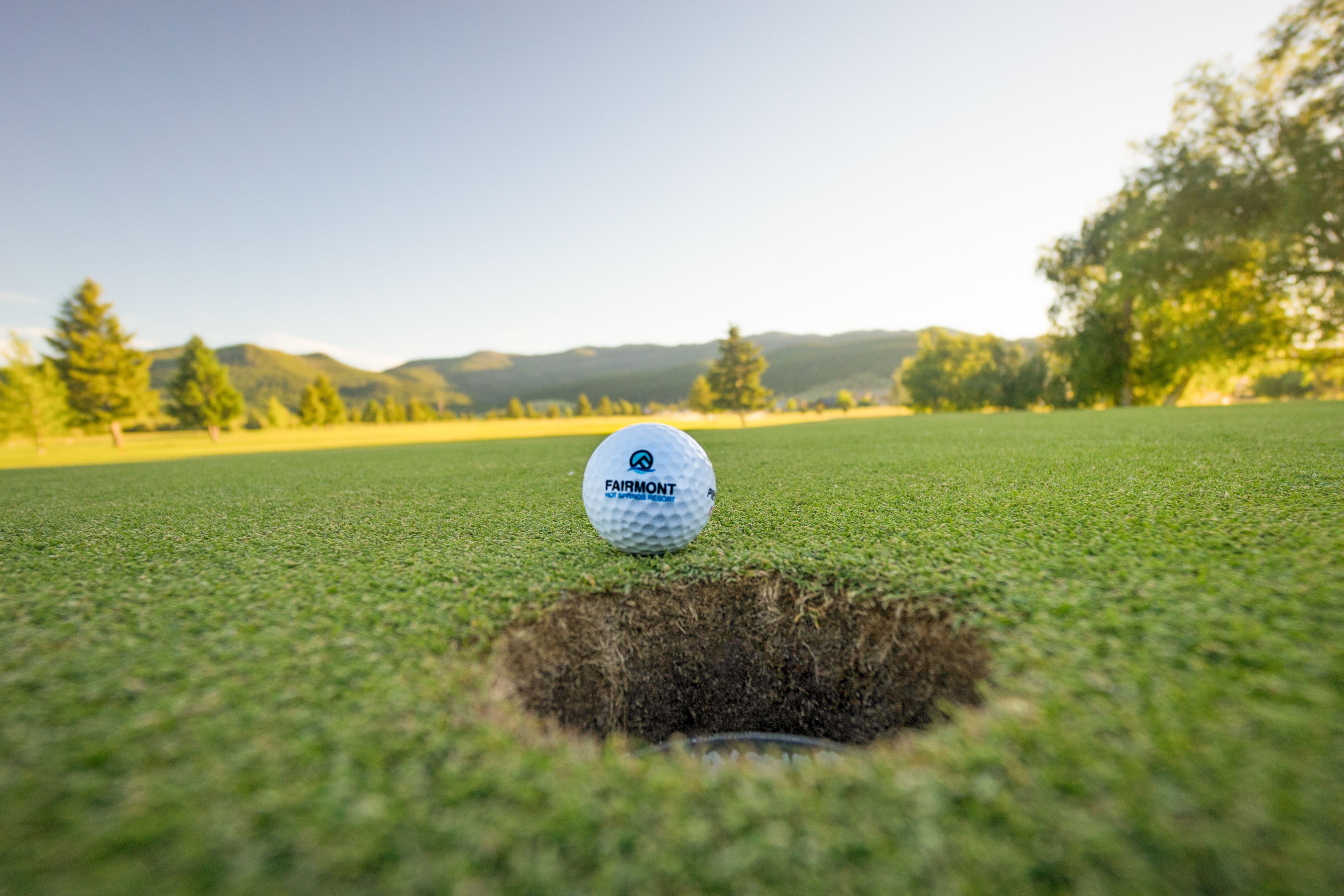 A golf ball in a hole on a green, with a clear sky and trees in the background.