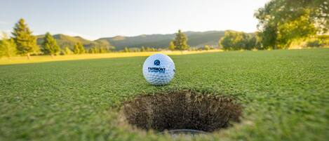 A golf ball in a hole on a green, with a clear sky and trees in the background.