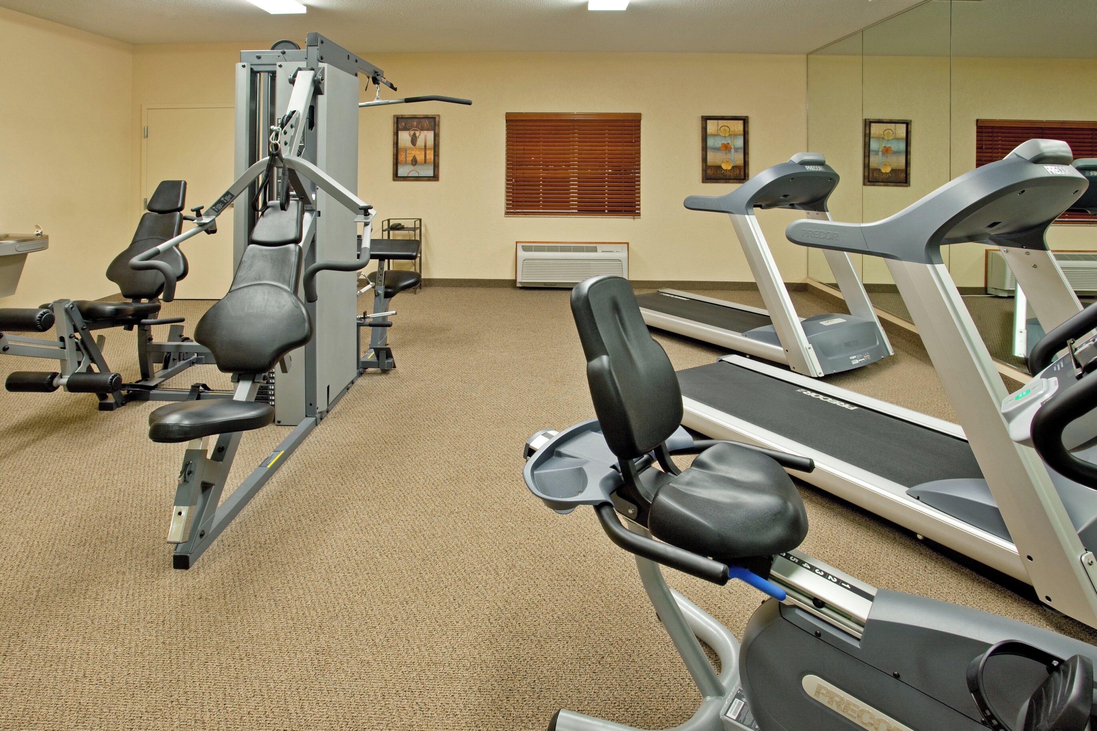 A gym with treadmills, weight machines, and a mirrored wall.