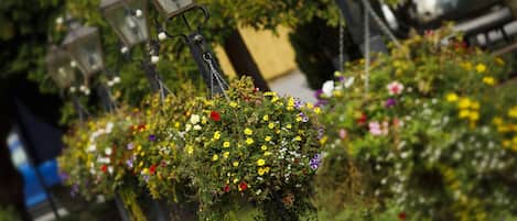 Outdoor decorative lights and hanging flower baskets.