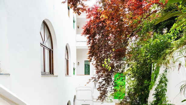 Un patio estrecho con pavimento de ladrillo, paredes blancas y ventanas de arco.