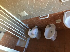 Shower, hair dryer, bidet, towels