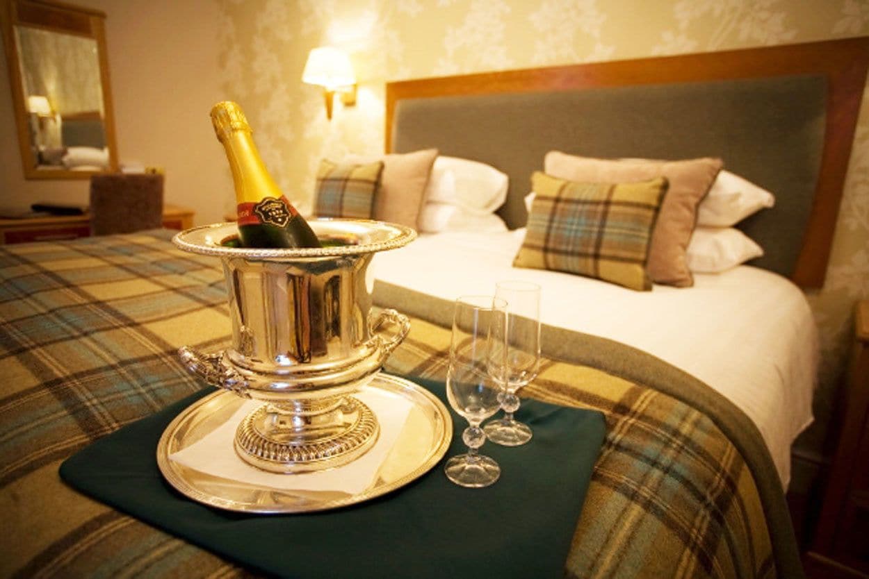 واي فاي مجانًا