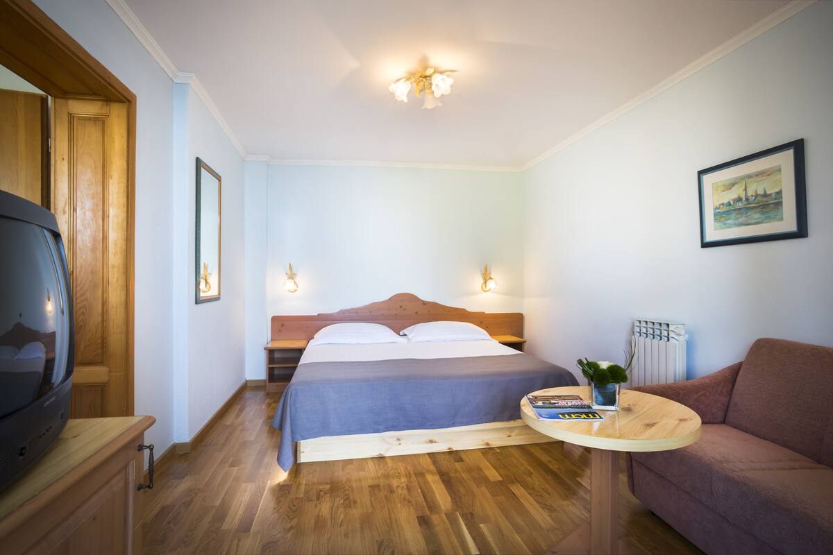 Un dormitorio con cama, lámparas de noche, televisor, sofá y una mesita con planta y libros.