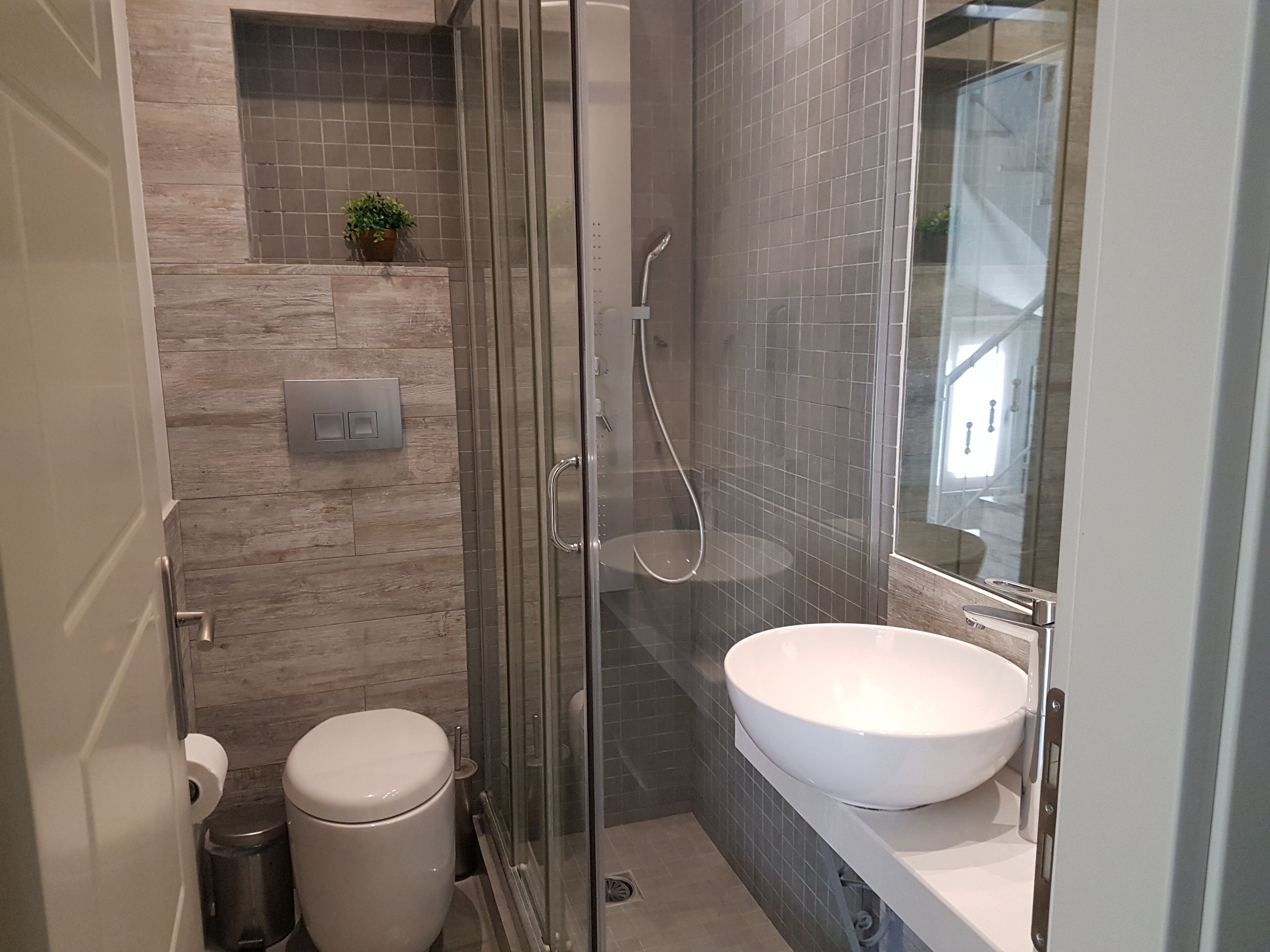 A modern bathroom with a glass-enclosed shower, a white toilet, a sink with a large basin, and a small potted plant on the wall.