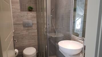 A modern bathroom with a glass-enclosed shower, a white toilet, a sink with a large basin, and a small potted plant on the wall.