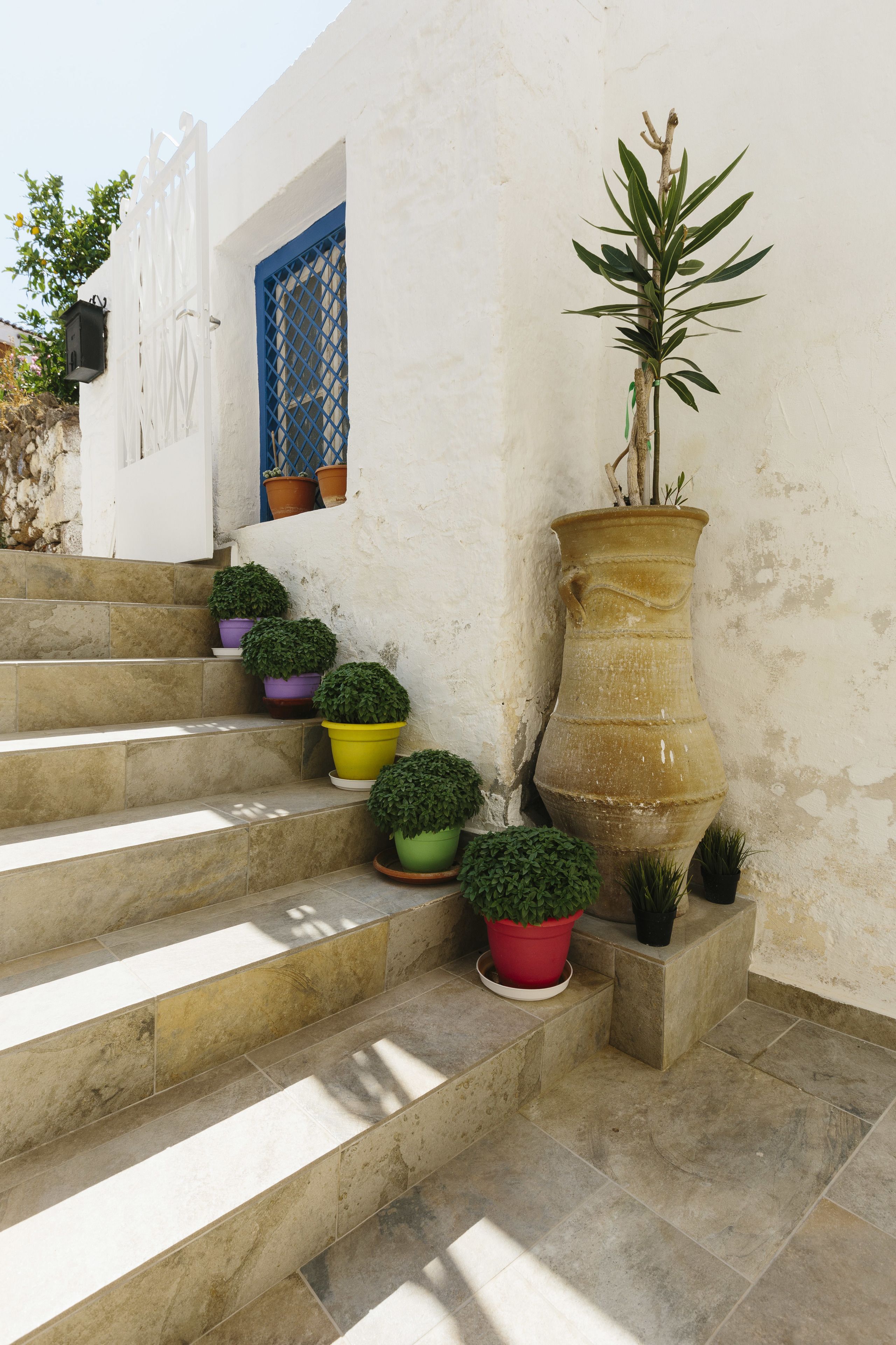 A set of stone steps leading up to a white building with a blue door, surrounded by potted plants.