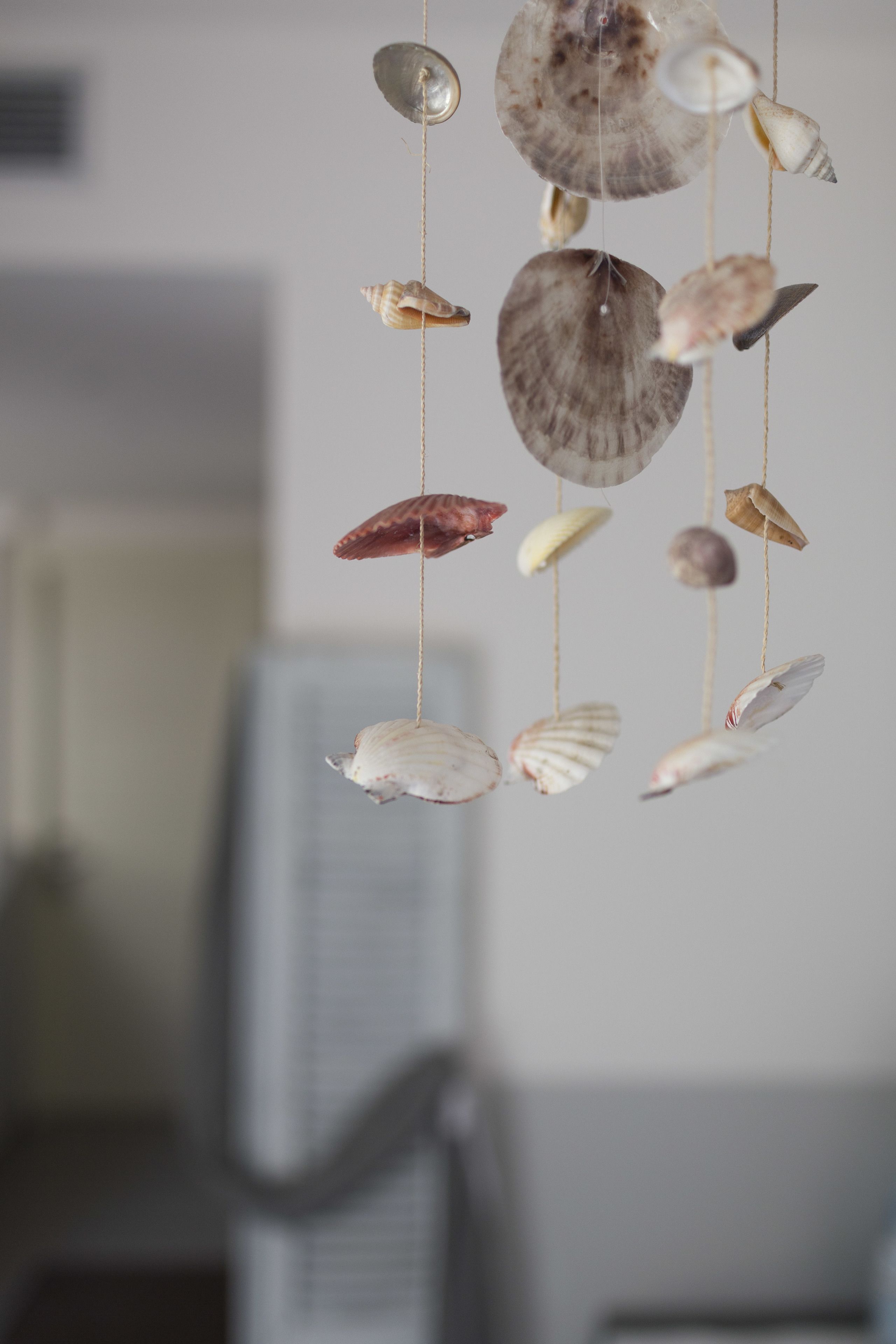 A hanging decoration of various seashells.
