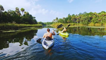 Two kayaks on a calm river surrounded by dense greenery.