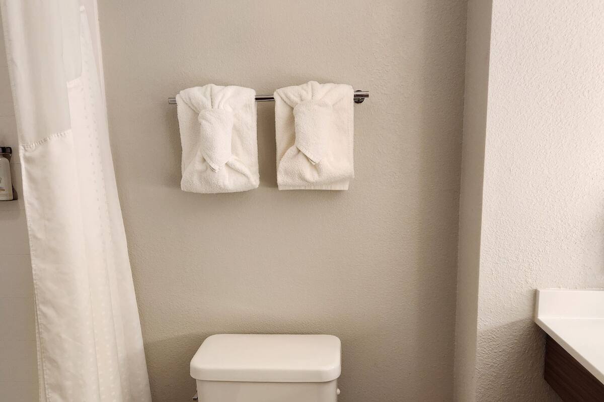 combined shower/bathtub, free toiletries, hair dryer, towels