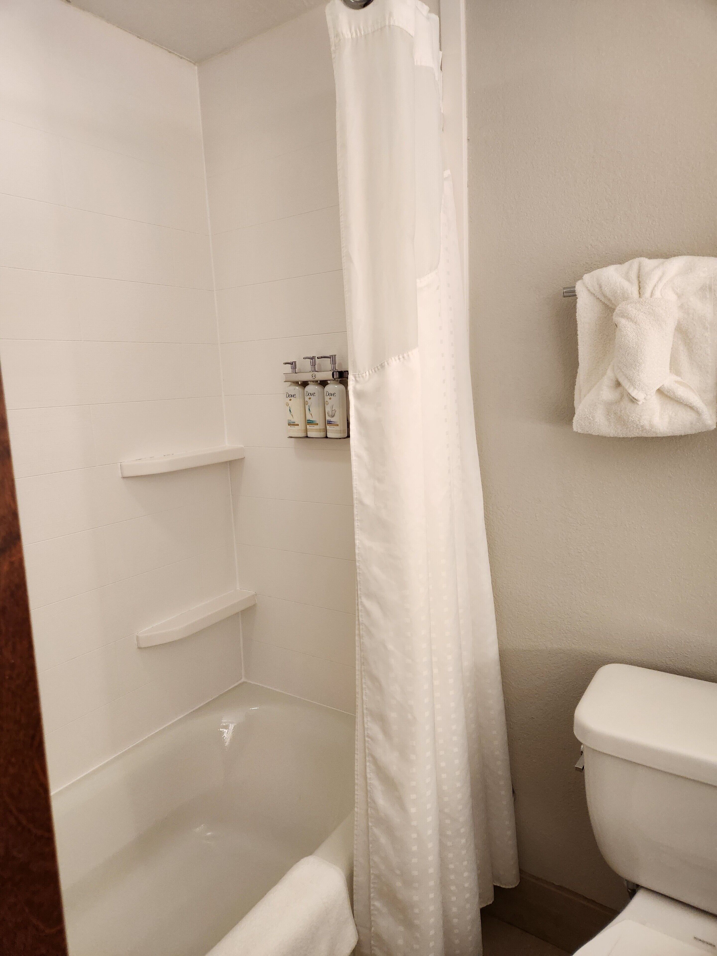 combined shower/bathtub, free toiletries, hair dryer, towels