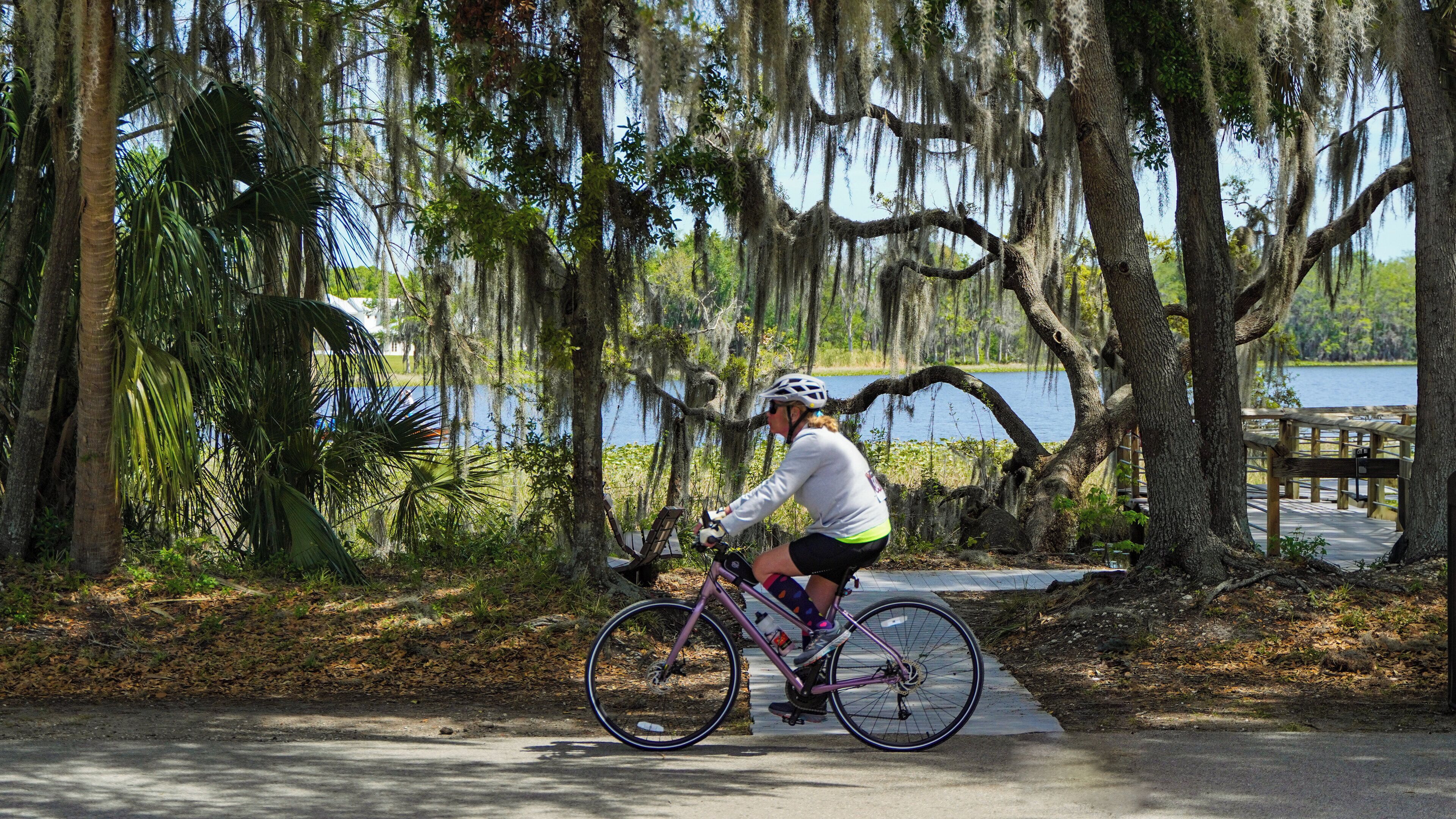 A cyclist on a paved path surrounded by trees with Spanish moss, a wooden dock, and a body of water in the background.