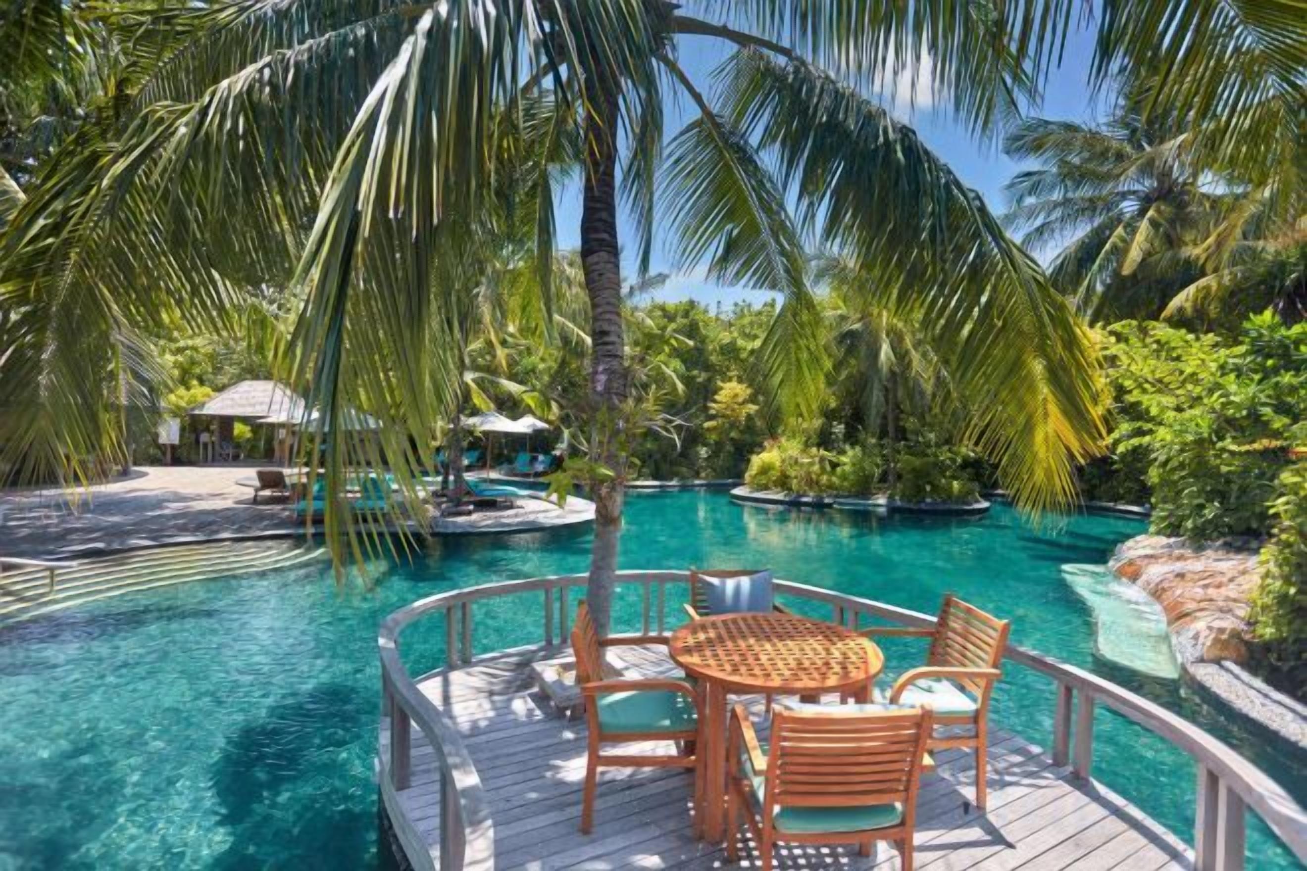 A wooden deck with chairs and a table overlooking a clear blue pool, surrounded by palm trees and tropical vegetation.
