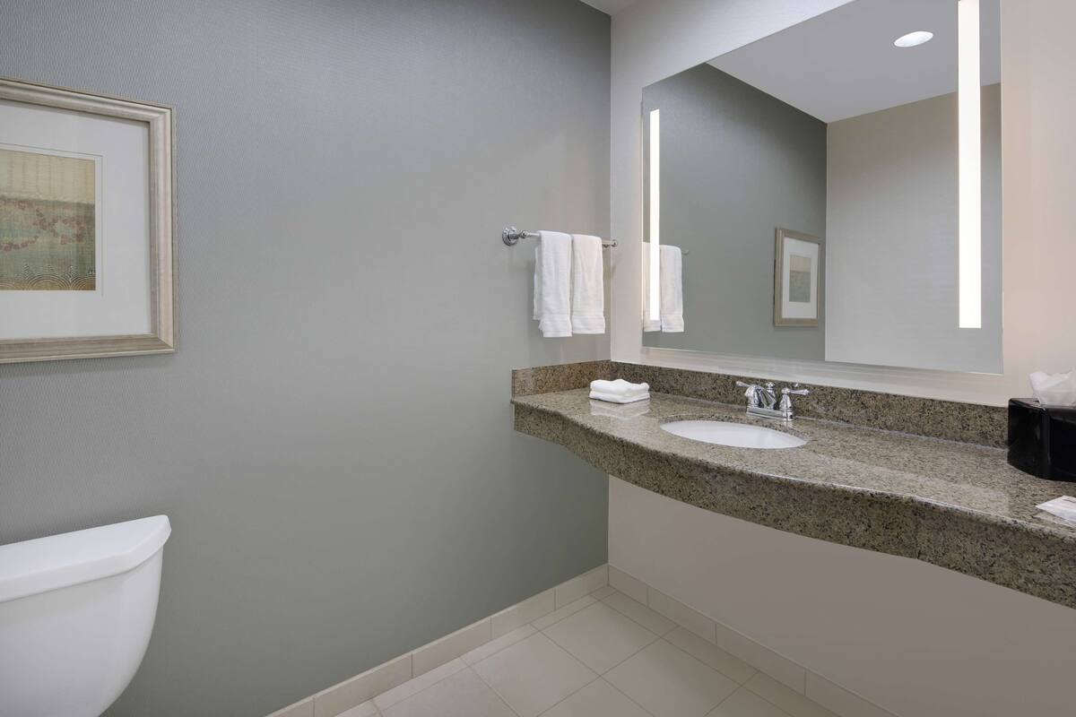 A bathroom with a toilet, a sink, a mirror, and a framed picture on the wall.