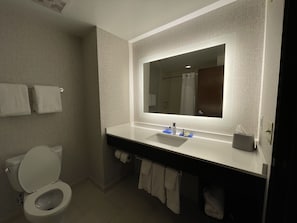 A modern bathroom with a toilet, sink, and mirror.