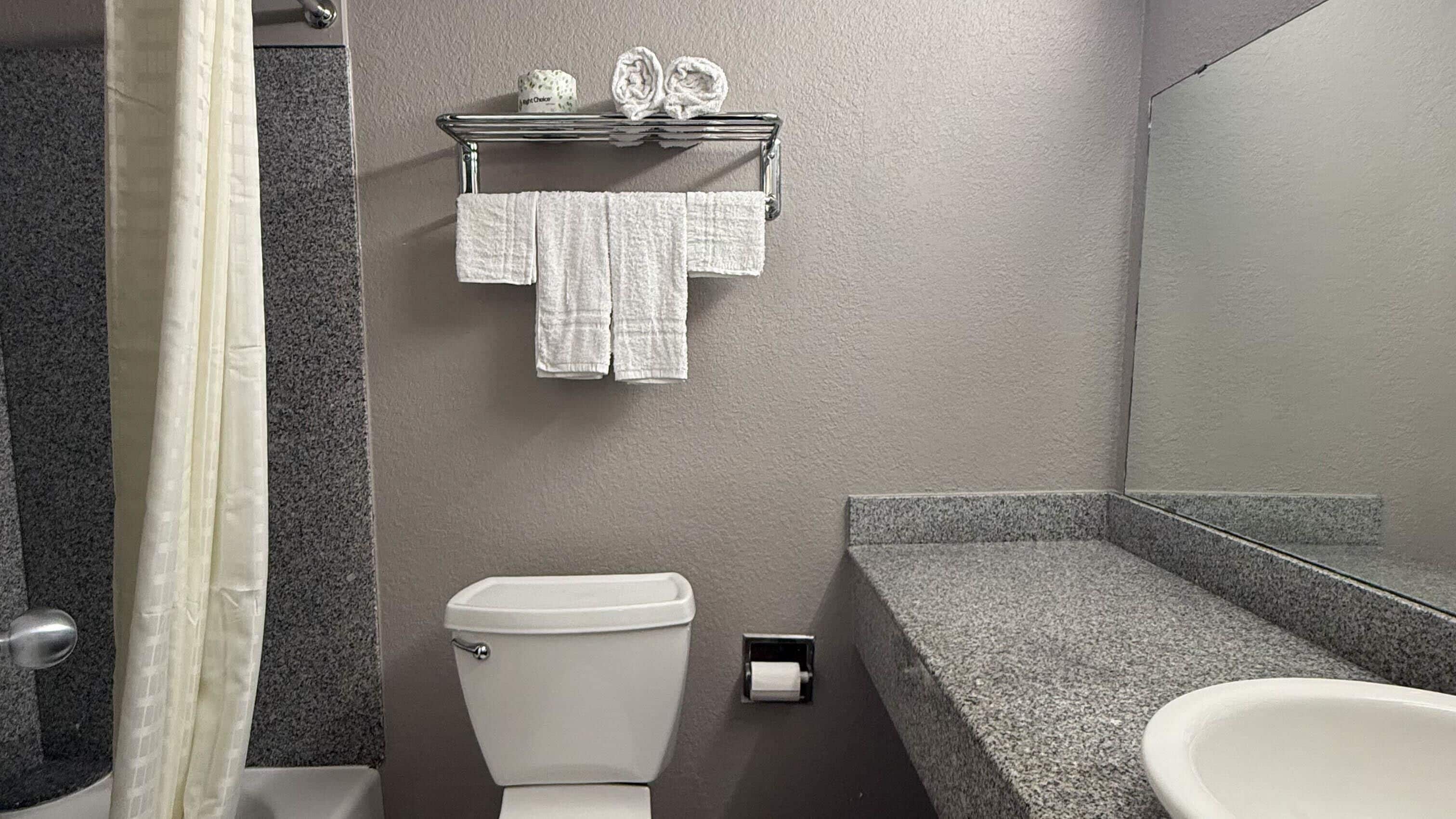 Une salle de bain comprenant des toilettes, un porte-serviettes avec des serviettes, un rideau de douche et un lavabo avec un miroir.