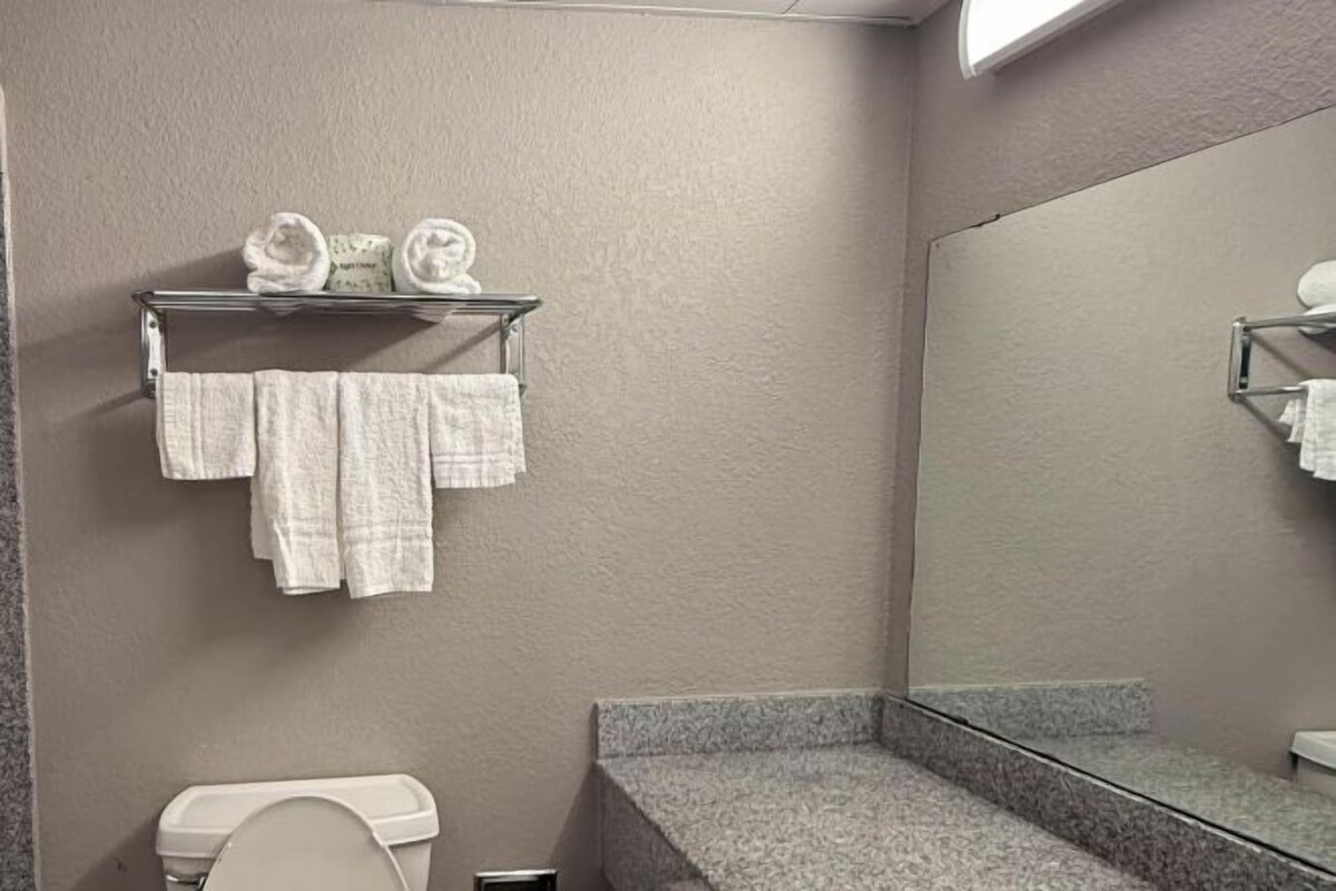 Une salle de bain équipée de toilettes, d’un porte-serviettes avec des serviettes et d’un grand miroir.