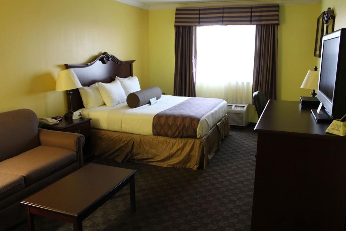 Une chambre d’hôtel avec un lit, un bureau, une chaise, une télévision et une fenêtre avec des rideaux.