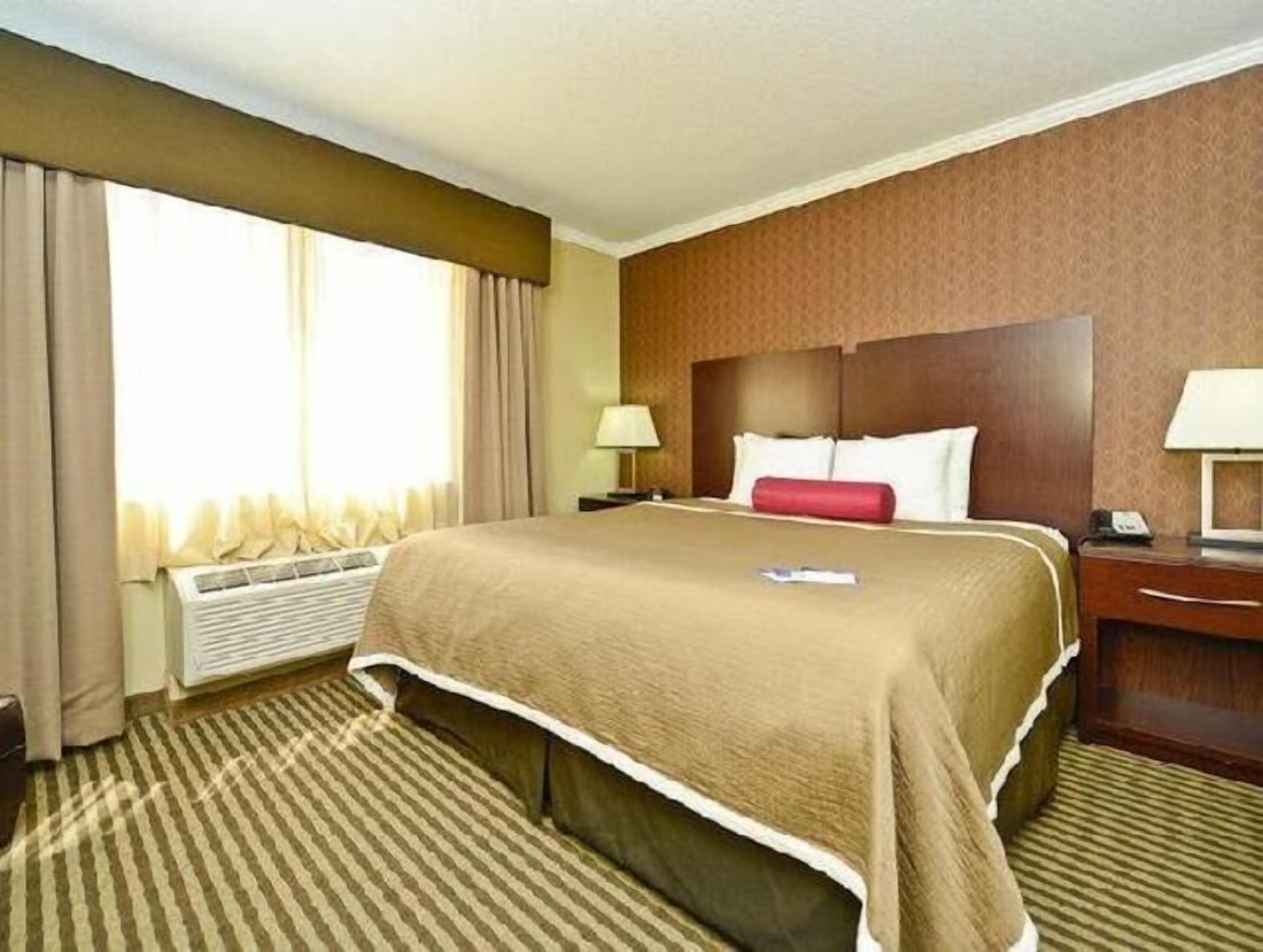 Premium bedding, desk, laptop workspace, blackout drapes