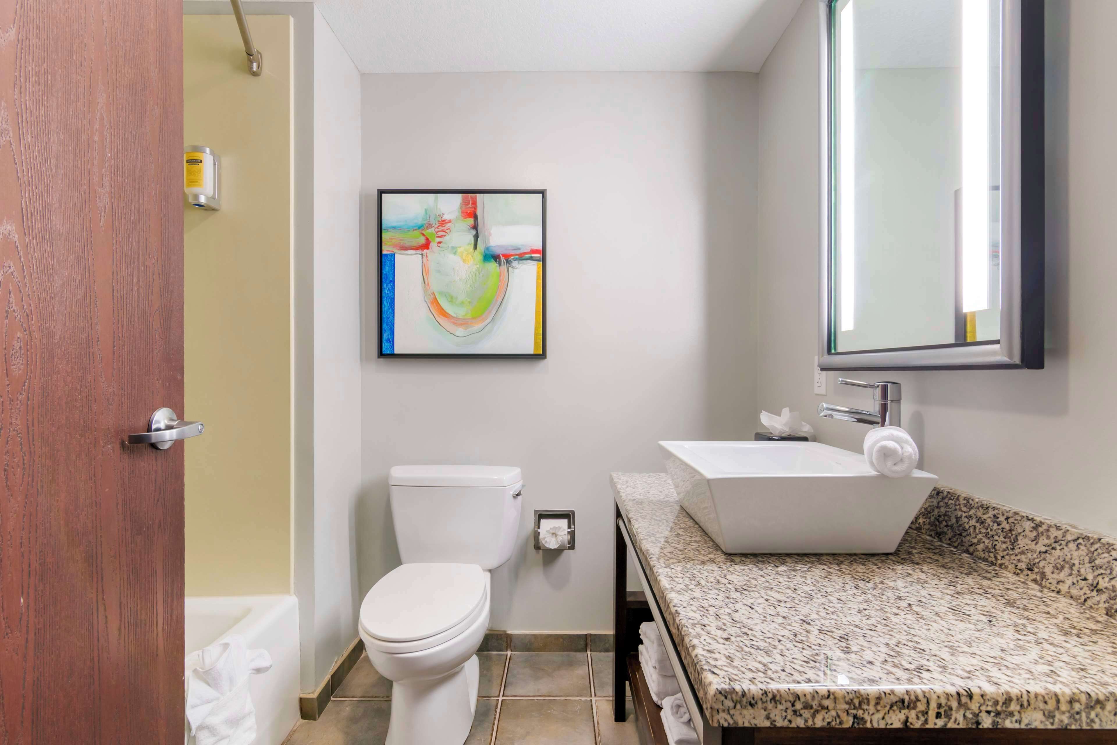 combined shower/bathtub, free toiletries, hair dryer, towels