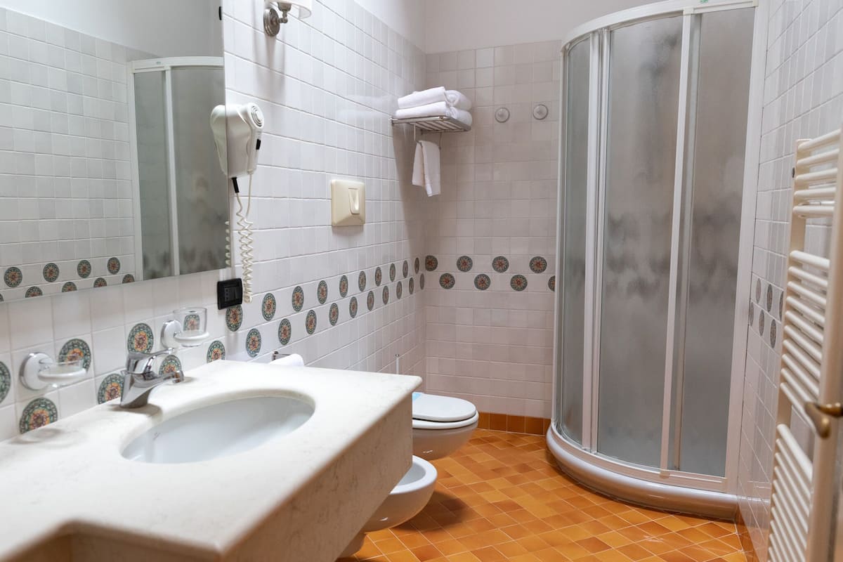 single room | bathroom | shower, hair dryer, bidet, towels