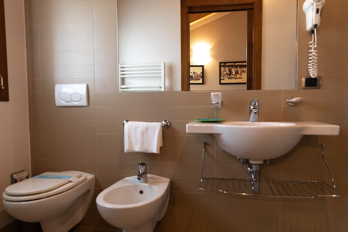 shower, hair dryer, bidet, towels