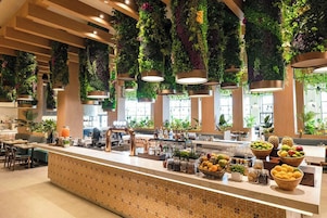 A spacious indoor area with a long counter, various seating arrangements, and hanging plants.