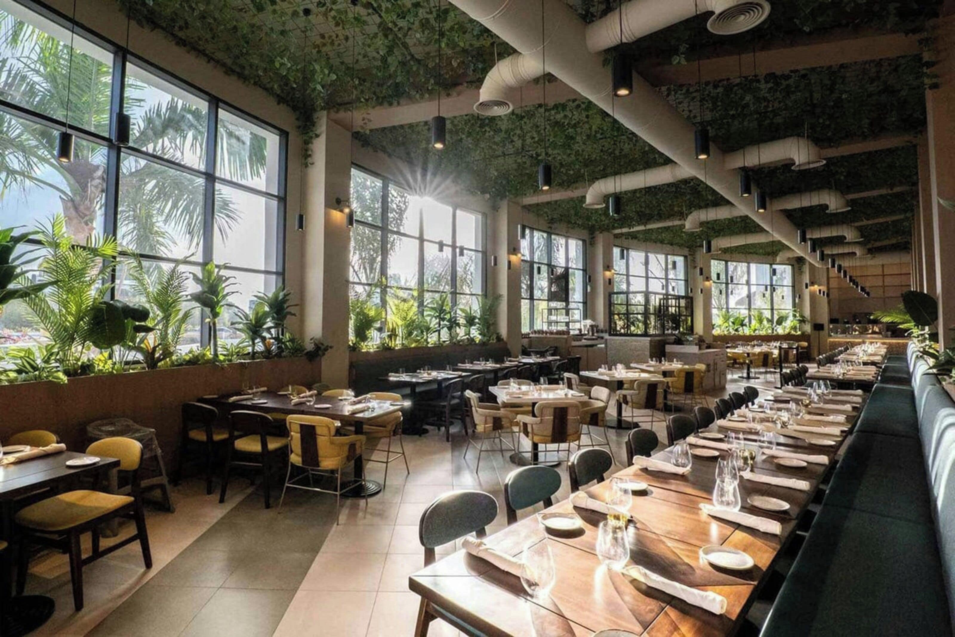 Un restaurant doté de grandes fenêtres, de plantes d’intérieur et de nombreuses tables.