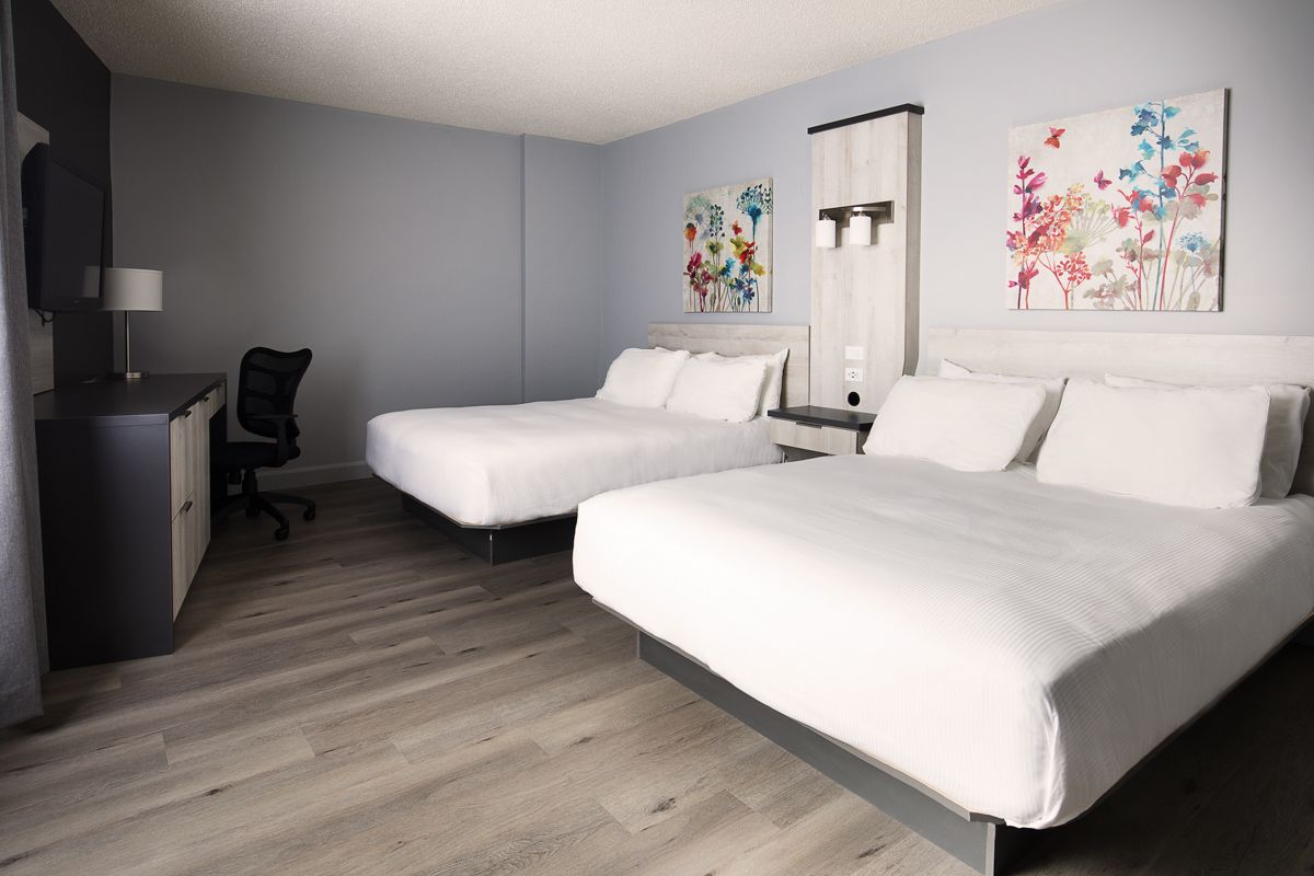 premium bedding, desk, iron/ironing board, free wifi