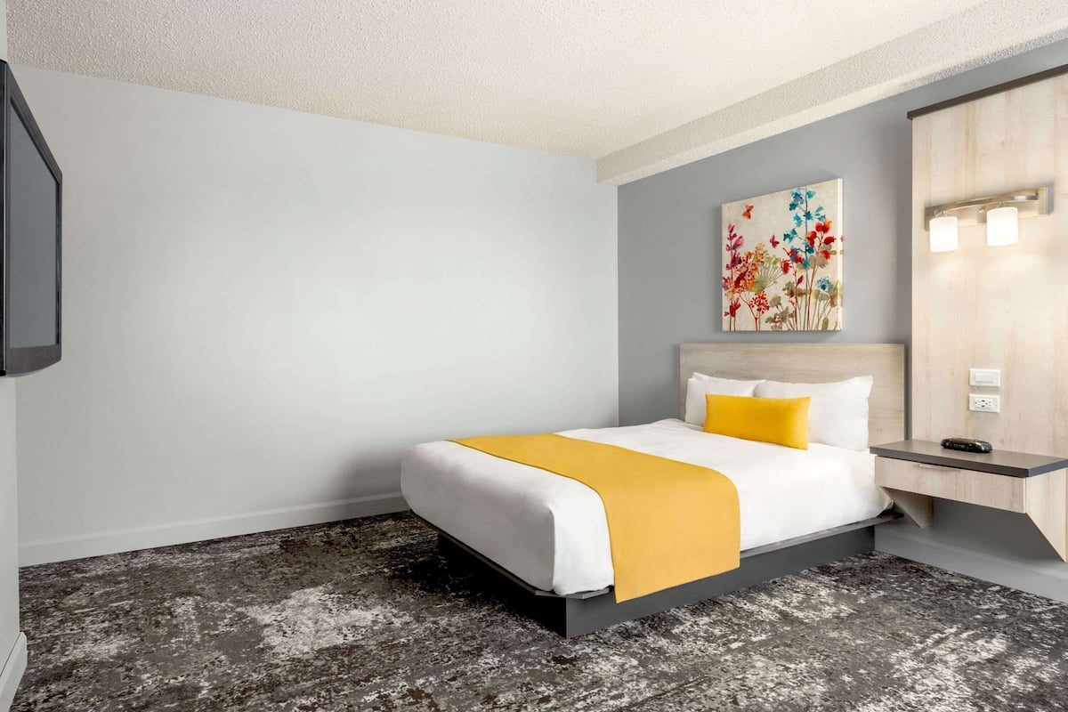 Room, 1 Queen Bed, Accessible, Non Smoking | Premium bedding, desk, iron/ironing board, free WiFi