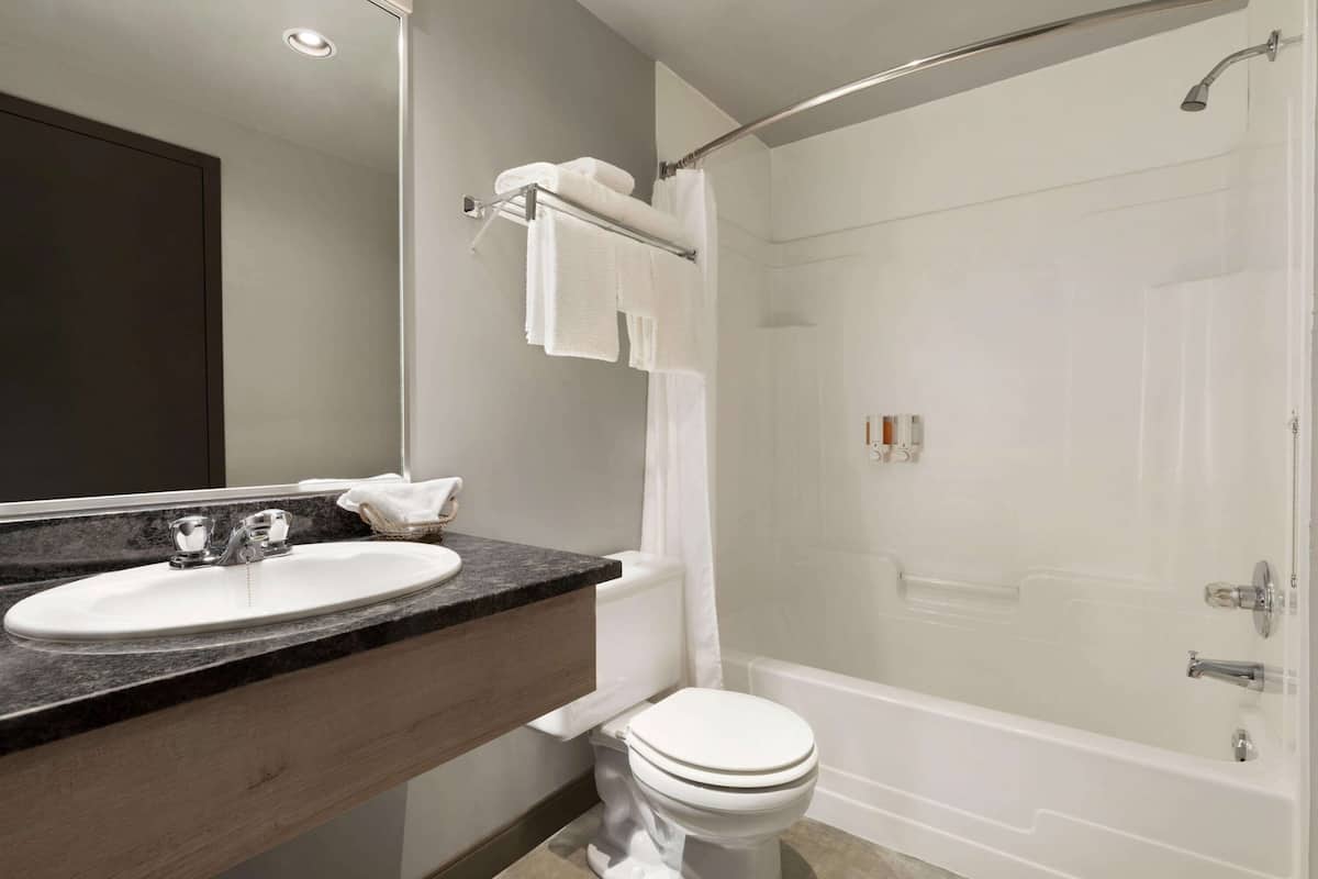 combined shower/bathtub, hair dryer, towels